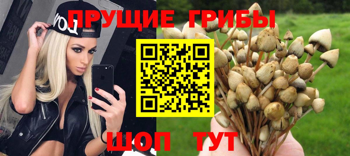 Коломна  Псилоцибиновые грибы мицелий  Вход с VPN 