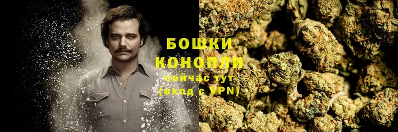 Конопля OG Kush  где найти   Коломна 